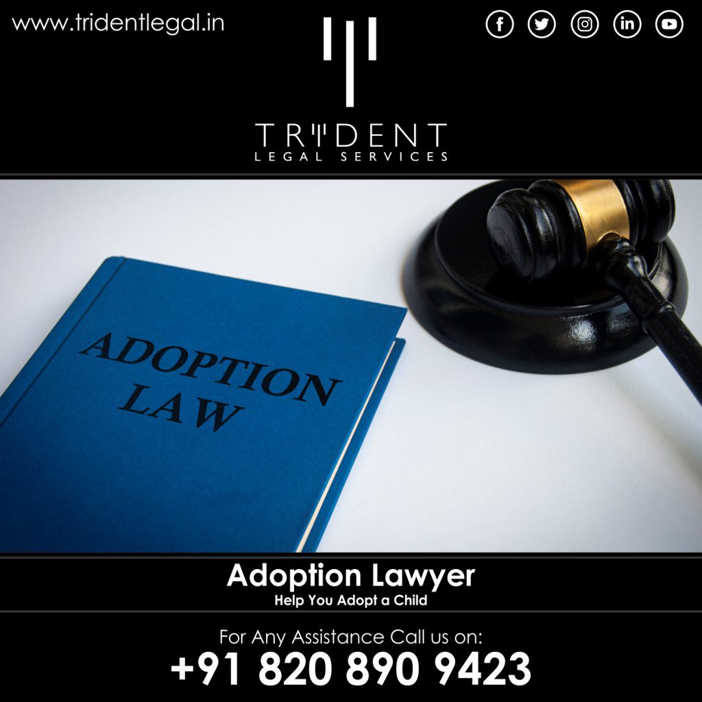 Adoption Lawyer in Pune