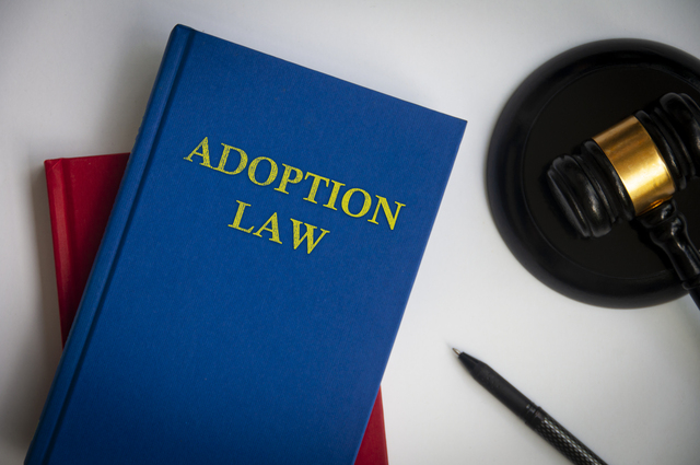 Adoption Lawyer Pune: Navigating the Path to a Loving Family