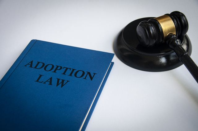 Navigating Adoption Legalities with an Expert Adoption Lawyer – Trident Legal Services