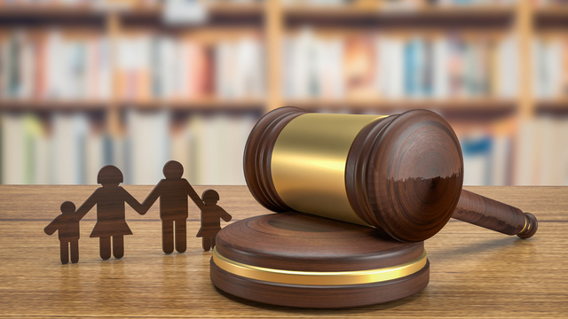 Expert Guardianship Lawyer in Pune – Your Trusted Legal Partner | Trident Legal Services