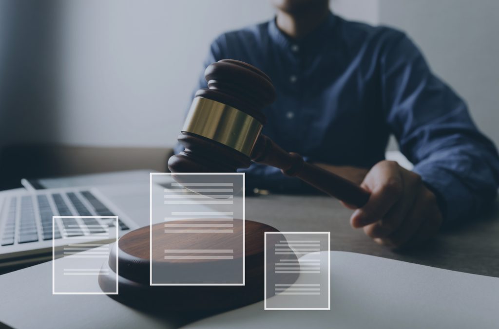 Cyber Law Litigation Service: Safeguarding Your Digital World