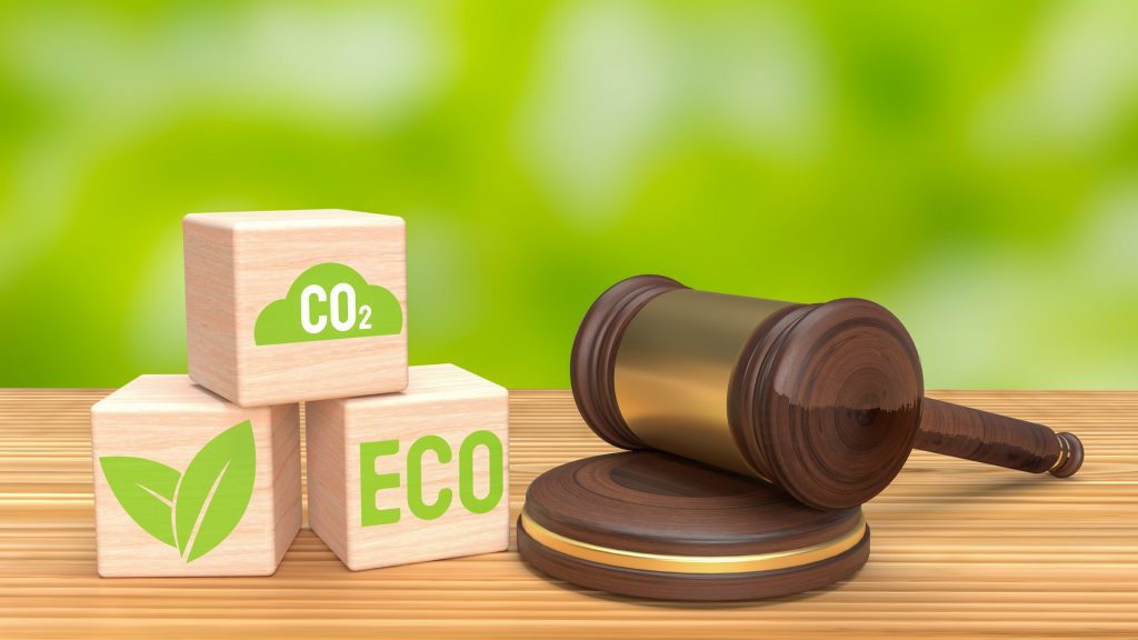 Empowering Environmental Conservation: Your Environmental Lawyer in Pune